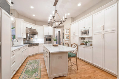 Kitchen - transitional kitchen idea in Chicago