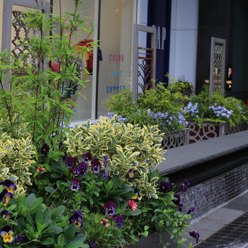 Pike & Rose