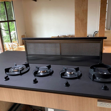 Undermount hidden down draft system