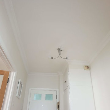 Water damage repair painting work with front door replace in Putney