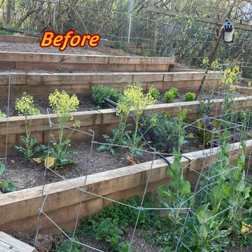 Medlock Park Custom Bike Shed and Garden Upgrade