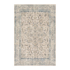 Traditional Blue And Taupe Area Rugs Houzz Surya Stonewashed Updated Traditional Taupe Bright Blue Area Rug 7 10