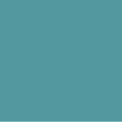 Dulux Zuni - Paint