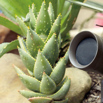Outdoor Audio Visual Systems