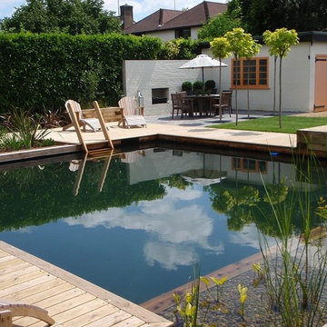Contemporary Natural Swimming Pool Project