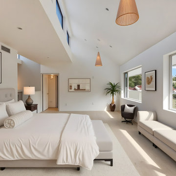 The Asymmetry House