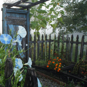 Peter Rabbit Garden