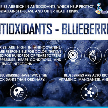Antioxidants-Blueberries