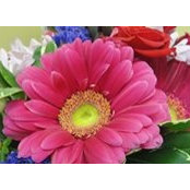 Lina D'Agostino's photo