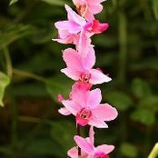 Heather Gundrum's photo