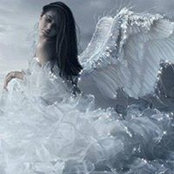 Bonnie Torrez's photo