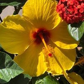 Foto von Rebecca Conkey