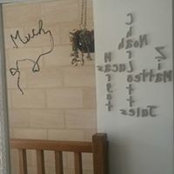 Marion Lamazouade's photo