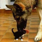 Rhoda Morrison's photo