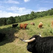 Bea Roth's photo