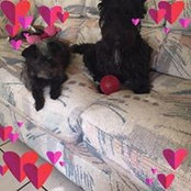 Denise Hedstrom-Kirchmann's photo