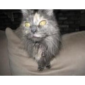 Susan Granade's photo