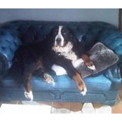 Martine Nicolle Goffart's photo