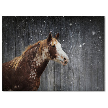 Jai Johnson 'Winters Arrival Horse' Canvas Art, 47 x 35