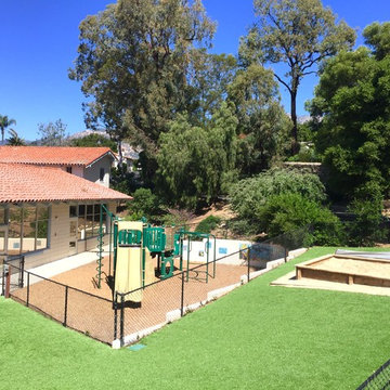Artificial Grass