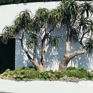 BEVERLY HILLS RESIDENT