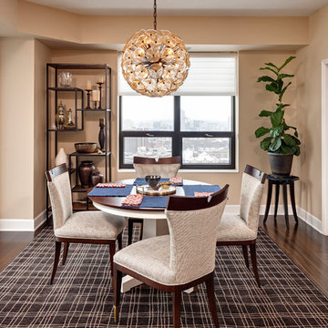 Grant Park Condo Renovation - Minneapolis