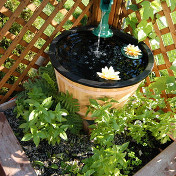 Container Water Gardens