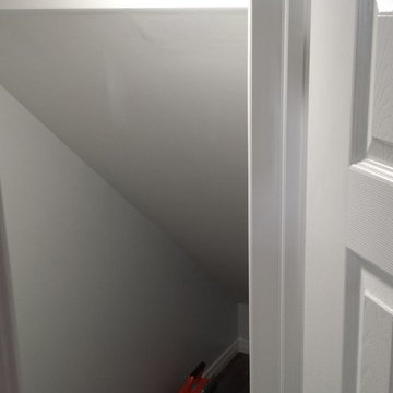 Basement apartment and laundry room