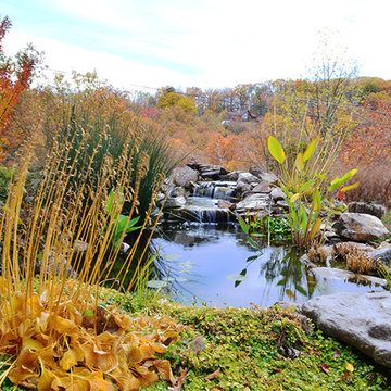 Ecosystem ponds, Watergardens, Backyard fish ponds in Winchester VA