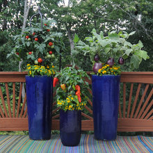 Copper Cove Landscaping