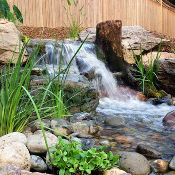 Garden-Fish Ponds