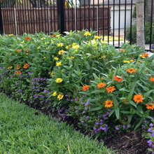 Landscape Ideas