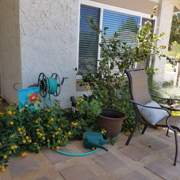 Irvine Front Yard