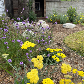 Sparr Heights Delight #2
