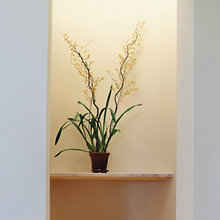 wall pockets