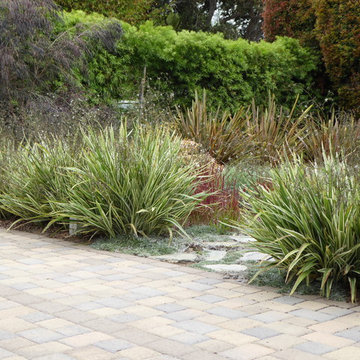 Carpinteria lawn replacement
