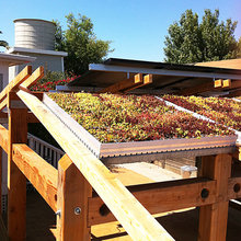 Green roofs