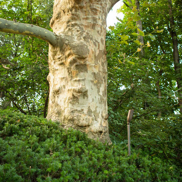 Traditional Estate - Rydal Landscape Lighting