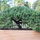 aaron_green14