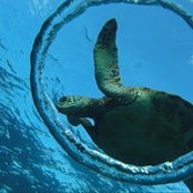 Dan Rizzo's photo