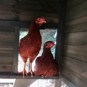 Jill Embrey's photo