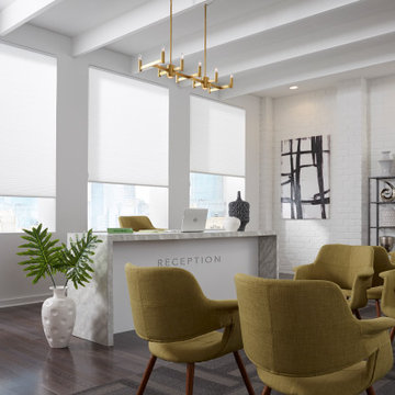 Cellular and Pleated Shades