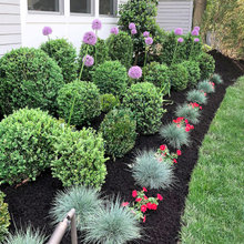 Front Garden Ideas