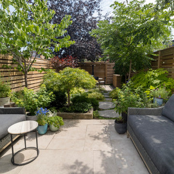 Kensington Market - Green Dream in the City