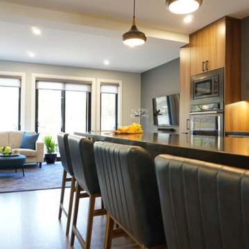 Full Home Renovation/Addition/Underpin