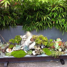 Planters