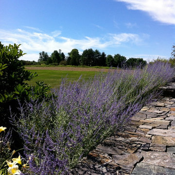 Perovskia stone wall