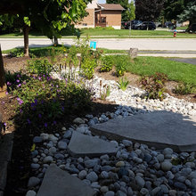 rain gardens