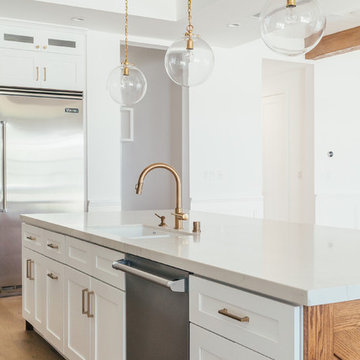 Traditonal Modern - New Construction - Cheviot Hills, CA