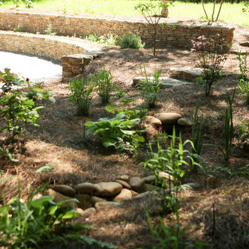 rain gardens & native plants